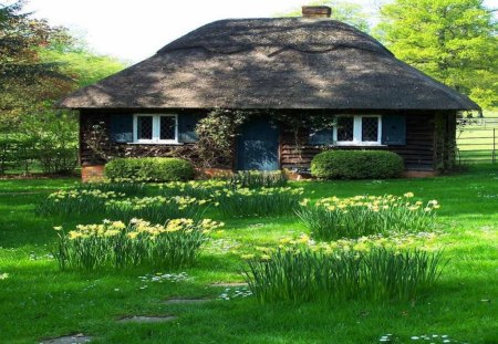 Cute Little Cottage - house, green, cute, little, grass, cottage