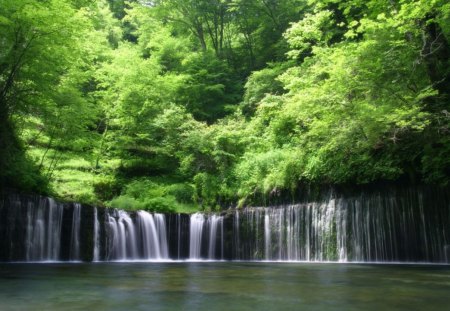 Forest Waterfalls - falls, trees, daylight, day, water, waterfalls, nature, forest, river, green