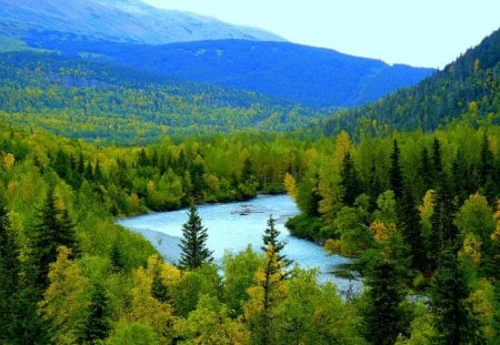 Beautiful Lake in Alaska - trees, water, forest, daylight, mountain, nature, lake, day, sky