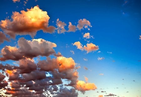 Sky - nice, sky, marvellous, great, wonderful, super, amazing, pretty, cloud, clouds, skyphoenixx1, adorable, wallpaper, stunning, outstanding, nature, picture, blue, beautiful, awesome, fantastic