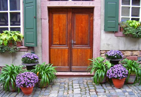 front door - flowers, house, door, pots