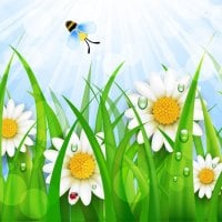 Busy Bee Daisies