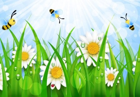 Busy Bee Daisies - blossoms, summer, whimsical, lawn, grass, spring, light, flowers, bees, daisies, sunray, dew, sun beams, sky, bokeh, blooms, morning, bright, cute, wild flowers