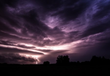 Purple Sky - beauty, sky, sunset, field, purple sky, storm, view, purple, clouds, tree, stormy, landscape, treesamazing, light, rain, lovely, nature, beautiful, splendor, lightning