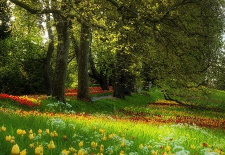 Park of Flowers - trees, beauty of nature, scenery, amazing, beautiful, landscape, grass, colors, cool, parks, flowers, forests, nature, awesome, plants, nice