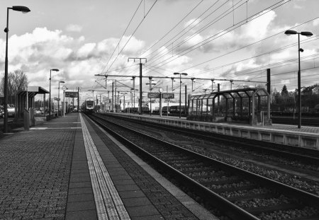 Train station - train, black and white, lines, trainstation