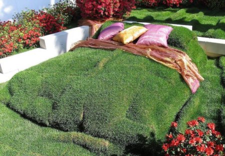 Taking the Term Flower Bed Literally! - flower bed, lush, sleep, funny, garden, green, grass