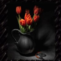 Orange Tulips F2