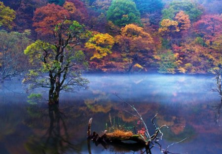 Autumn - lake, nature, image, autumn