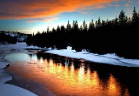 Forest near a river...!!! - hammock, paradise, britney spears, seagull