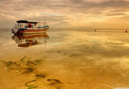 Silence Morning - clouds, water, boat, weeds, gold, reflection, daylight, sand, boats, ground, sunset, nature, lake, day, sky