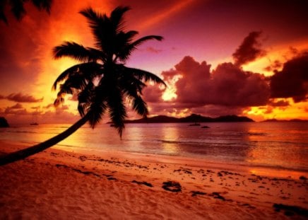 Twilight paradise - sundown, beach, sunrise, reflection, shore, red, twilight, paradise, sky, clouds, palms, water, beautiful, sea, ocean, tropics, glow, nature, sunset, tropical, sands, palm tree