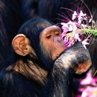 WAKE UP AND SMELL THE FLOWERS