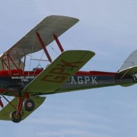 Tiger Moth