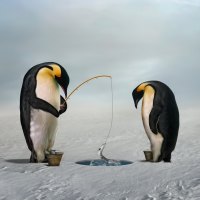 Fishing Penguins