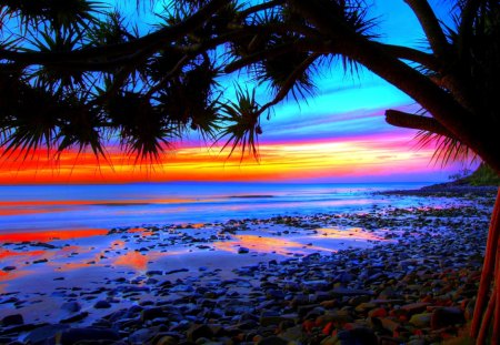 PALM BEACH SUNSET - sky, beach, tree, sunset, shore, palm