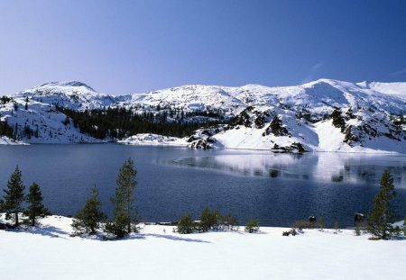 Iceberg Lake - winter, water, iceberg, blue, lake, white, sky, land, trees, nature, mountain, snow, cold