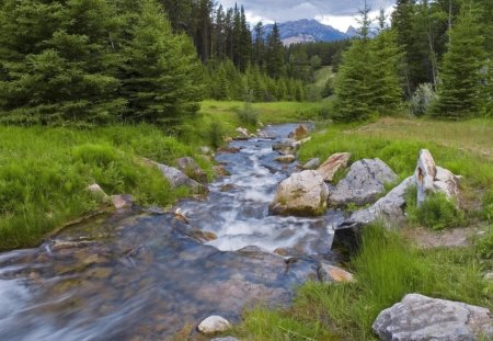 Banff National Park, Alberta Canada - sky, mountain, trees, daylight, day, water, park, nature, forest, greeen, clouds, blue, river, rock, grass