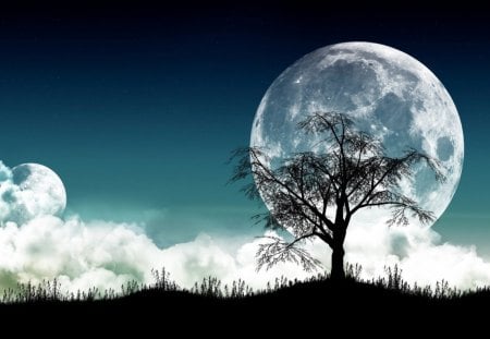 Night - moon, abstract, cloud, night, tree