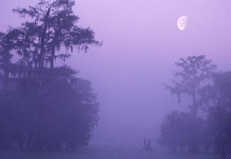 LAVENDER DAWN - moon, trees, before sunrise, dawn, road, mist