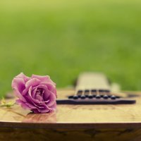 Guitar And Roses