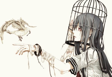 Be Free.. - bird, anime, anime girl, original, beautiful, tagme, long hair, uniform, fantasy, cage, be free, cute girl, black hair, school girl