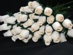 Ivory Wooden Roses