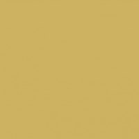 Gold Shields - Vertical Side Border 1