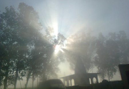 Sun behind the fog - fog, trees, sun, temple