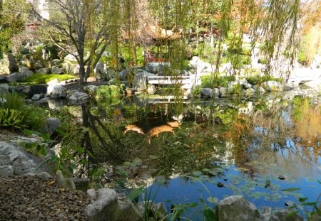 Serene Reflection - nature, serene, water, gardens, chinese