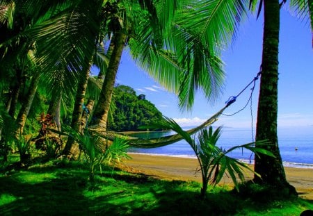 GREEN PARADISE - palms, nature, summer, blue, beach, hammock, landscape, sea