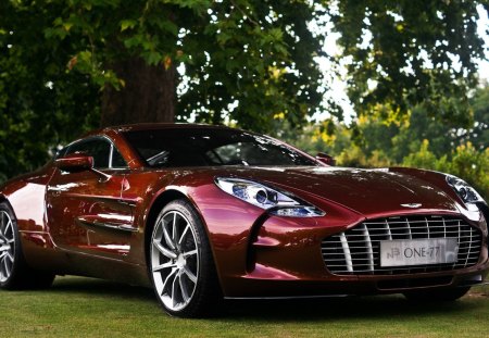 Aston Martin - grass, car, red, wheel