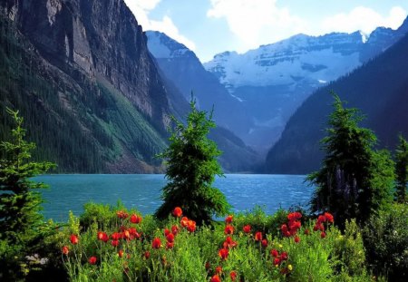 Blue mountain and lake - poppies, summer, blue, grass, mountain, flowers, shore, riverbank, red, lake, sky, clouds, greenery, trees, water, red flowers, river, nature, green