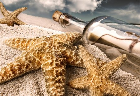 Starfish Message in a Bottle - clouds, bottle, beach, ocean, sand, starfish, animal, nature, sky