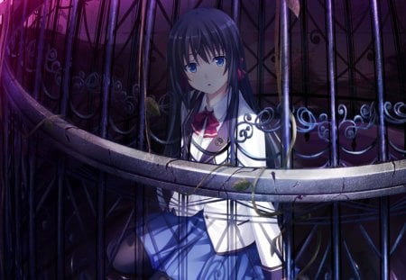 Aihara Saoi - game, anime, girl, aihara saoi, beauty, uniform, cage, trapped, new, wall