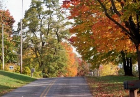 Fall in Ohio - nature, fall, autumn, trees, landscape