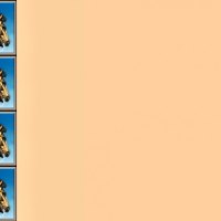 Horse Heads - Vertical Side Border