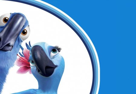 Parrot couple - movie, rio, cartoon, parrot