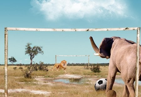 Elephant vs lion - fun, elephant, lion, game, football, funny, soccer