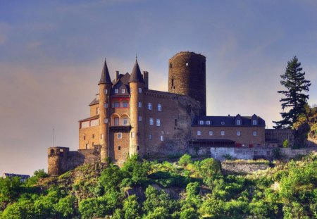 Castle - beauty, hill, ancient, castle, architecture, tower, bushes, rebuilt