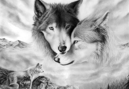 Wolves - jungle, animal, wolf, wolves