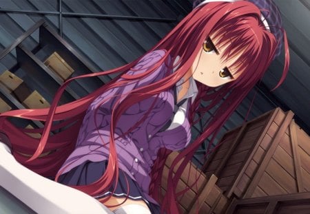 Miu Yarai - school uniform, purple, red, miu yarai, dracu riot, anime girl