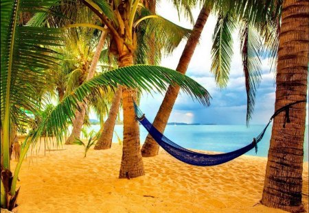 Tropical paradise - palm branches, beach, shore, exotic, palm trees, paradise, place, sky, clouds, palms, water, beautiful, sea, hammock, beauty, orange, ocean, tropics, nature, tropical, sands