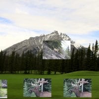 Elk & mountain goat at Banff Alberta