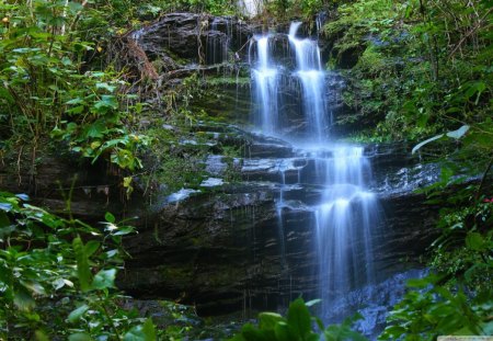 Cachoeira Waterfall - trees, falls, day, light, water, waterfalls, nature, flowing, forest, green, rock