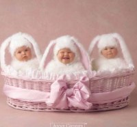 Anne Geddes - 3 Little Bunnies