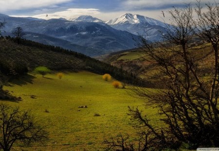 mountains in kelardasht Iran - shrubs, birds, town, mountains