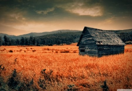 lonely countryside - cabin, mountains, abandoned, field