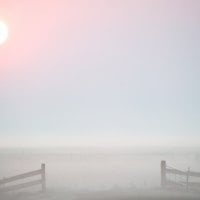 morning mist in terschelling germany