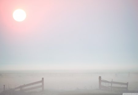 morning mist in terschelling germany - morning, fence, mist, sun